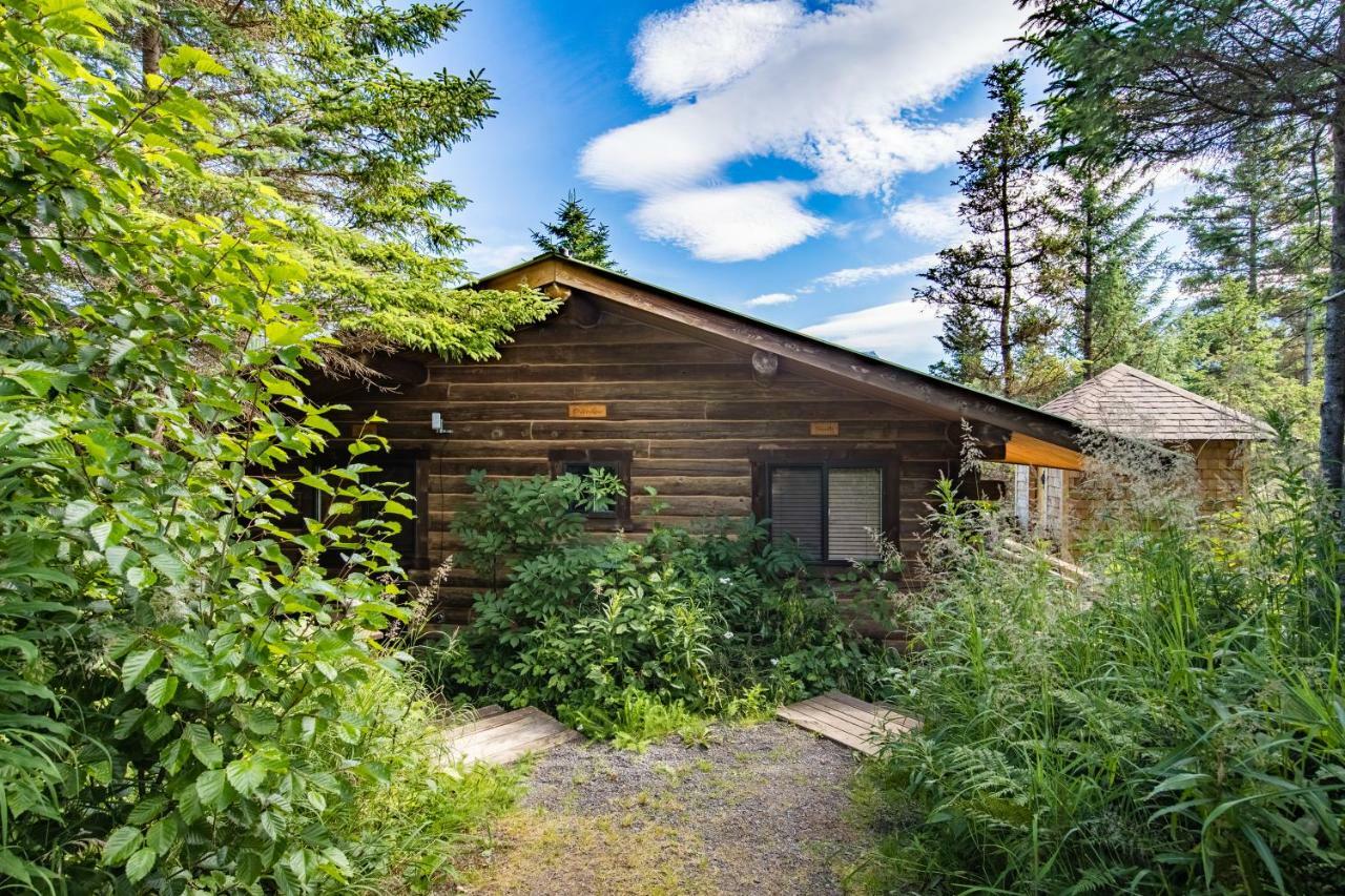 Stillpoint Lodge - All-Inclusive Halibut Cove Exteriér fotografie