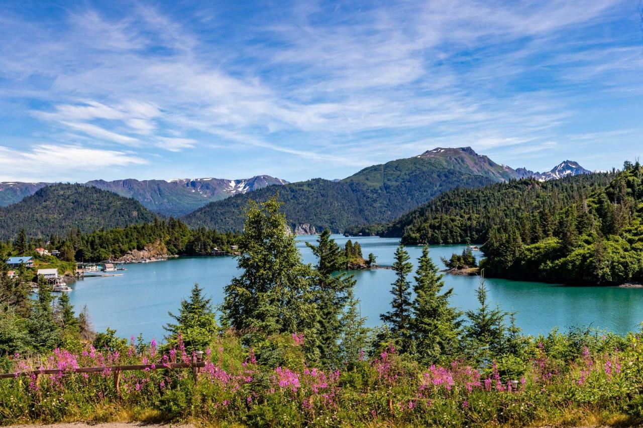 Stillpoint Lodge - All-Inclusive Halibut Cove Exteriér fotografie