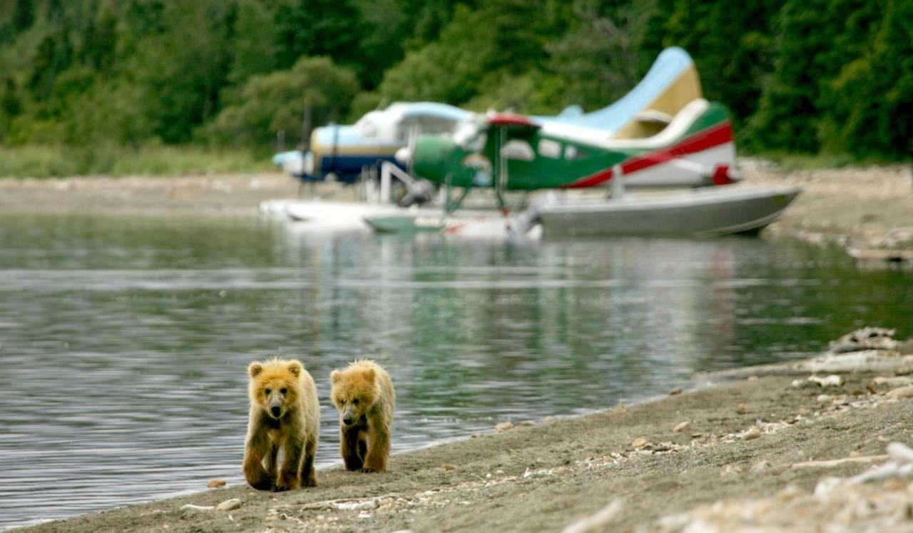 Stillpoint Lodge - All-Inclusive Halibut Cove Exteriér fotografie
