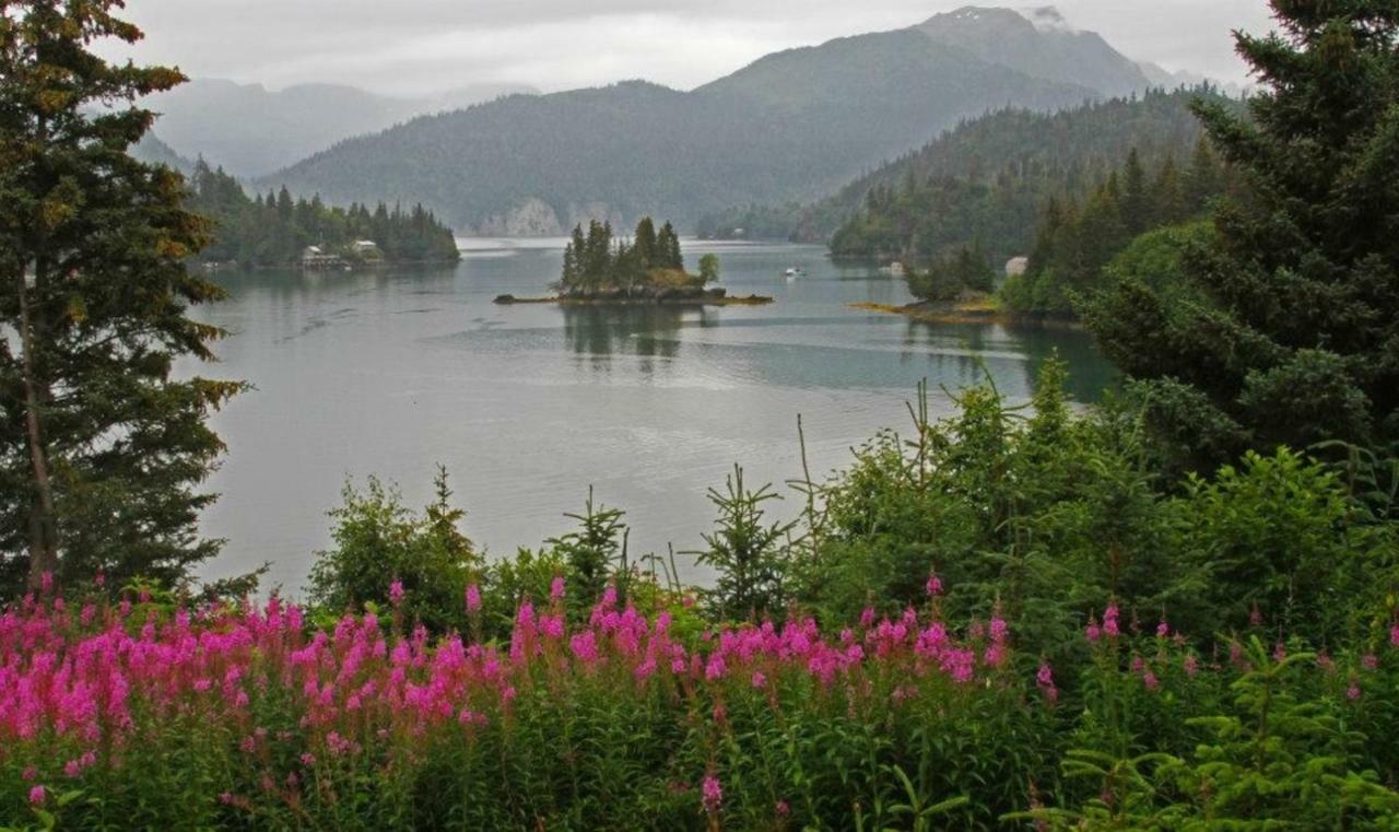Stillpoint Lodge - All-Inclusive Halibut Cove Exteriér fotografie